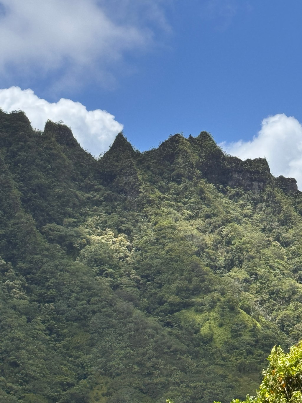 Learn, Play, Earn: The Future of Blockchain Education&nbsp;Games